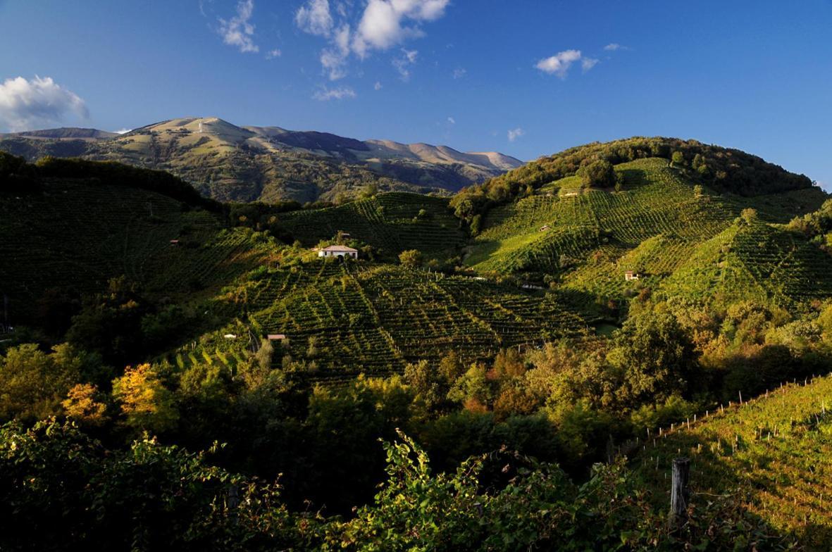 I Giardini Segreti Di Villa Marcello Marinelli チゾーン・ディ・ヴァルマリーノ エクステリア 写真